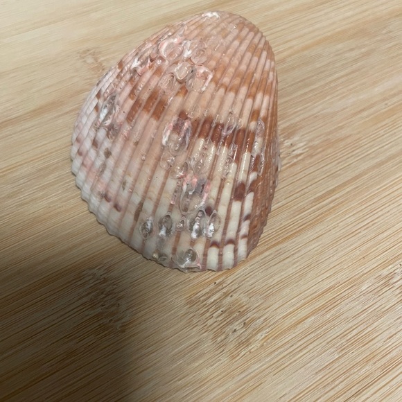 Pink Shell Candle - Picture 3 of 3